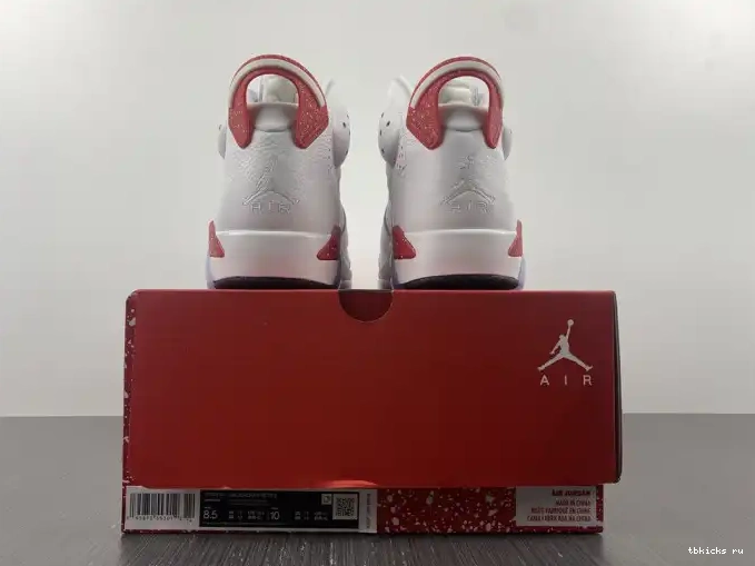 Cheap TB CT8529-162 Retro Hare Jordan 6 0530